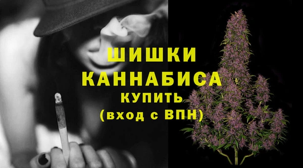 стаф Медногорск