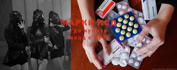трава Медвежьегорск