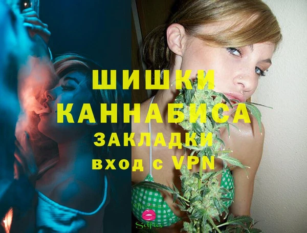 трава Медвежьегорск