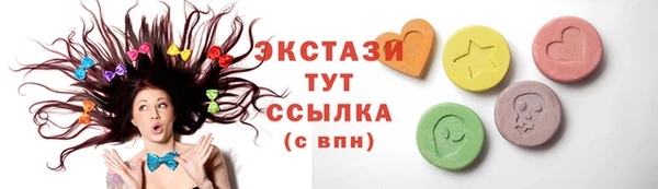 стаф Медногорск