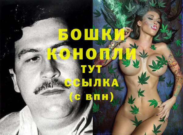 трава Медвежьегорск