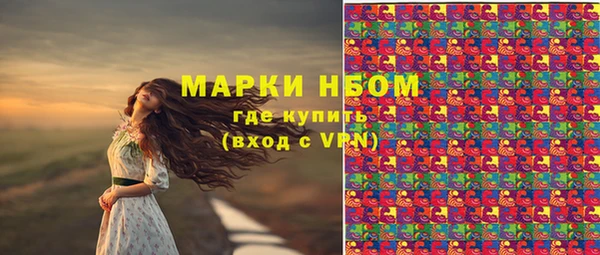 стаф Медногорск
