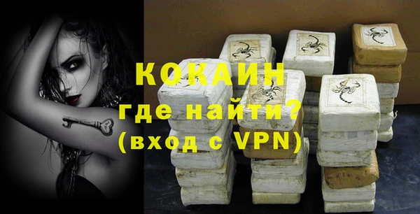 стаф Медногорск