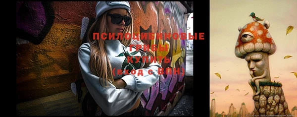 стаф Медногорск