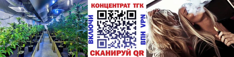 Дистиллят ТГК гашишное масло  продажа наркотиков  маркетплейс как зайти  Чкаловск 