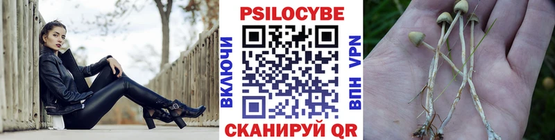 Псилоцибиновые грибы ЛСД  Чкаловск 